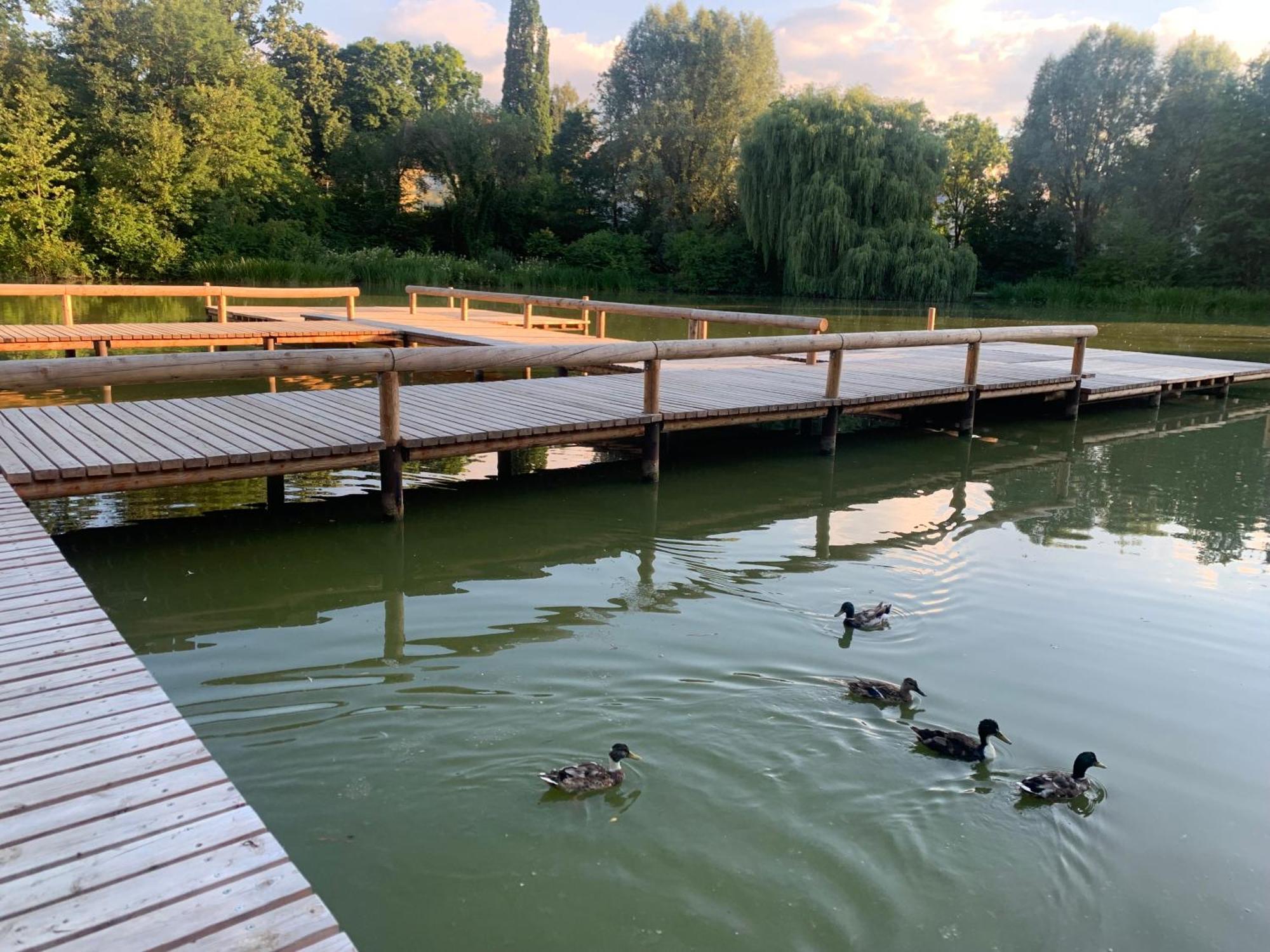 Altstadtloft Straubing Exteriér fotografie